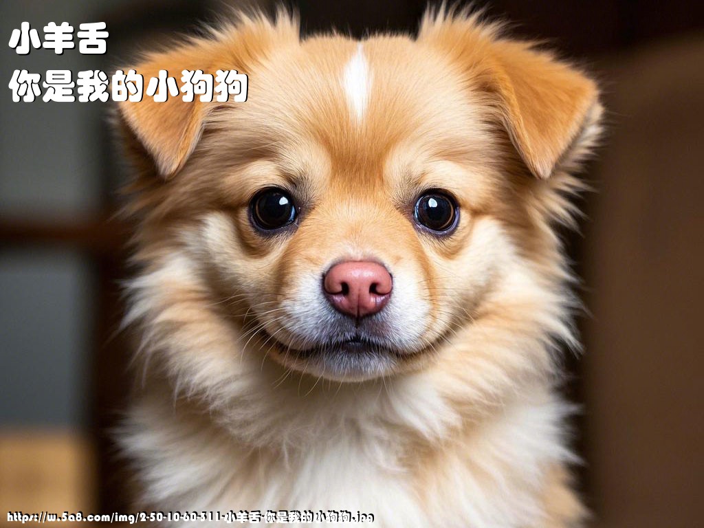 小羊舌你是我的小狗狗搞笑图片