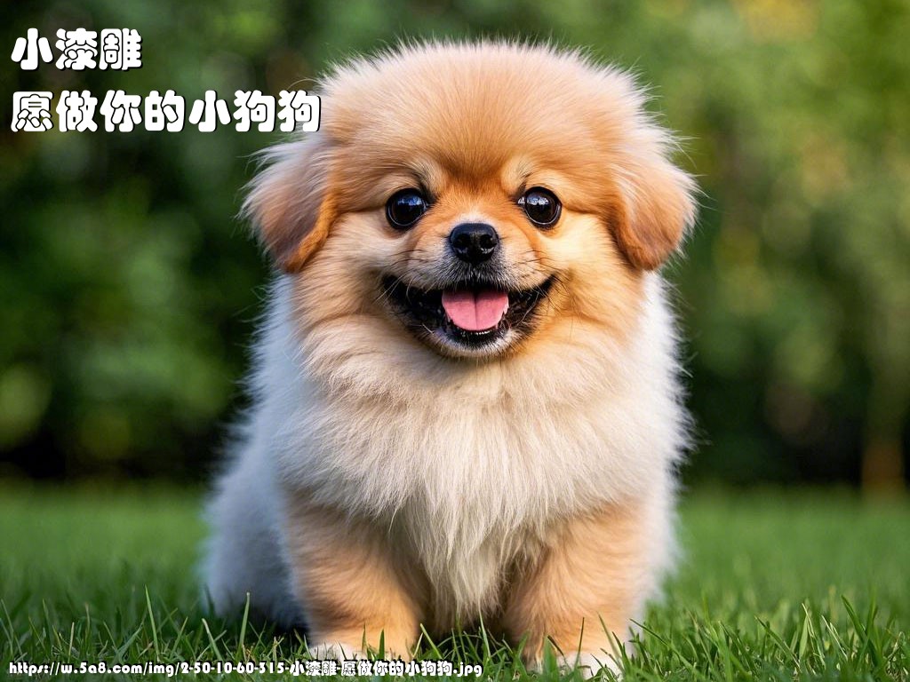 小漆雕愿做你的小狗狗搞笑图片