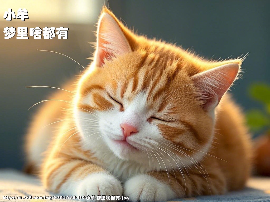 小牟梦里啥都有搞笑图片