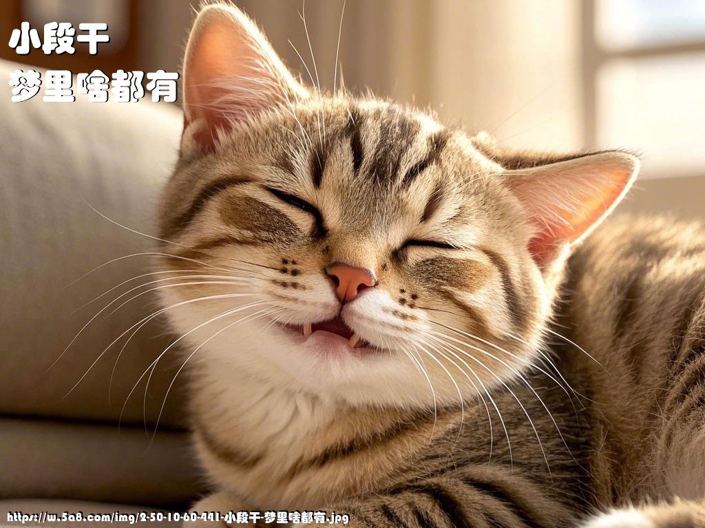 小段干梦里啥都有搞笑图片