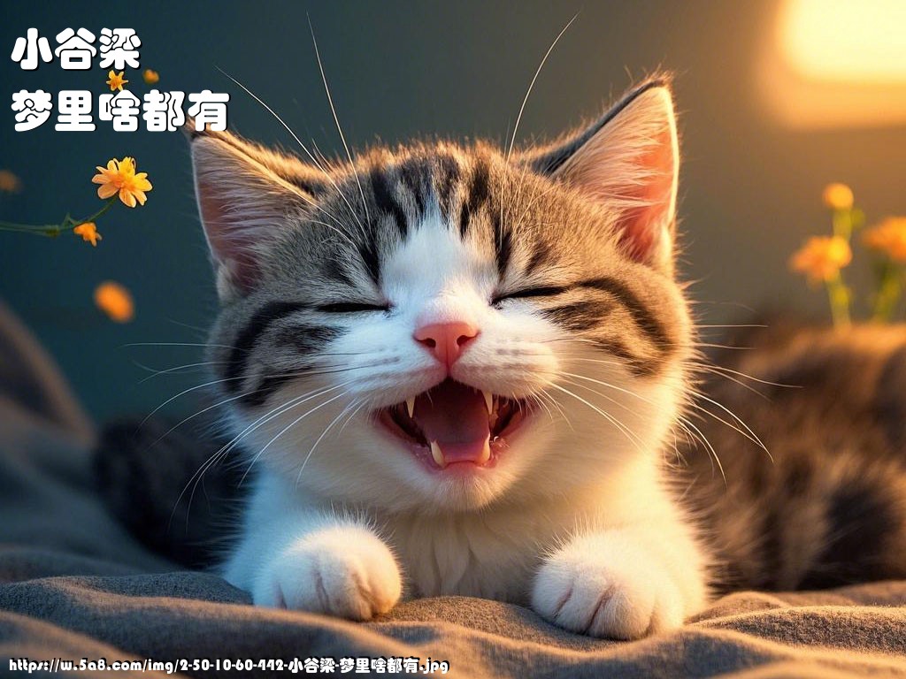 小谷梁梦里啥都有搞笑图片