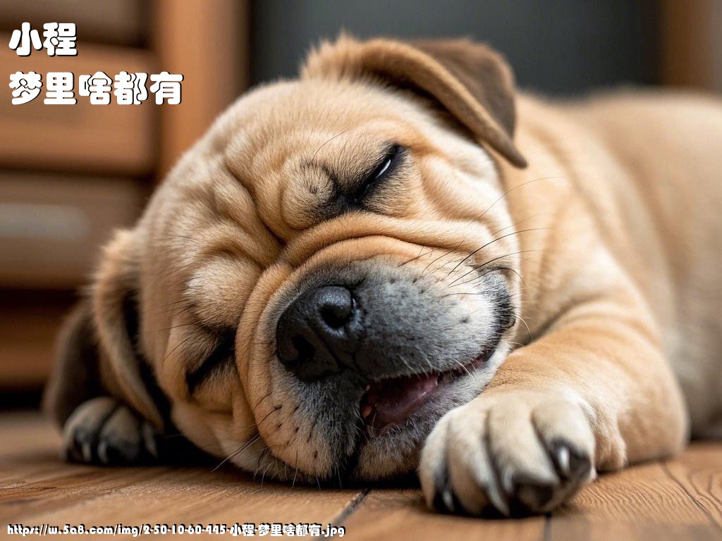 小程梦里啥都有搞笑图片