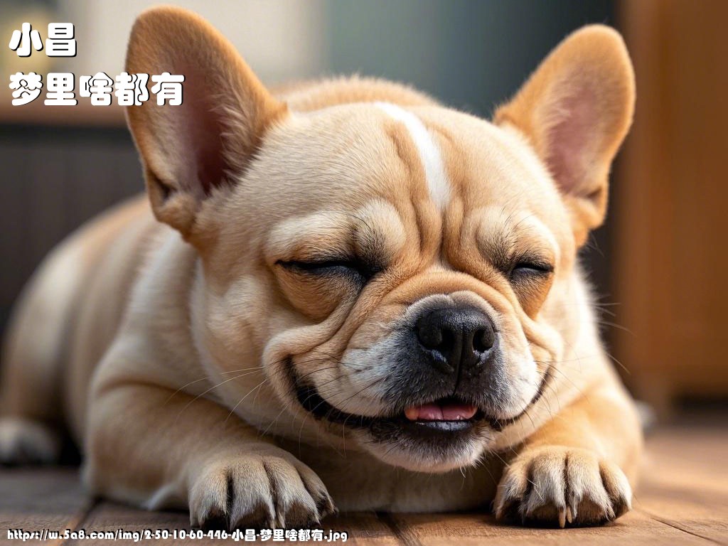 小昌梦里啥都有搞笑图片