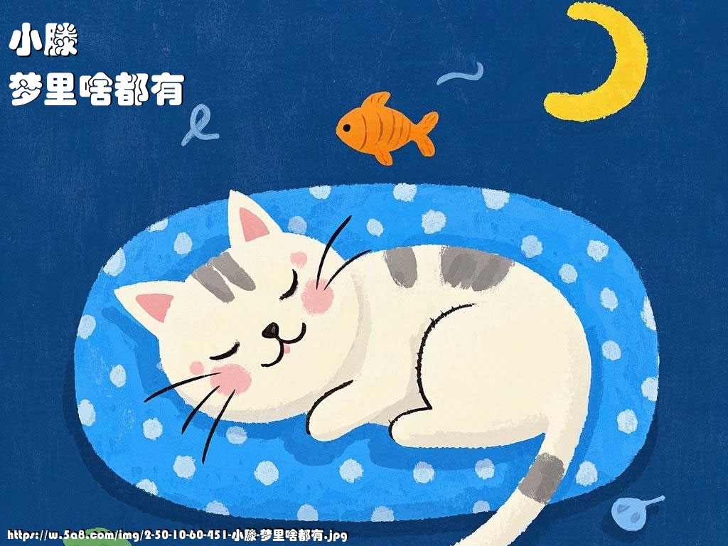 小滕梦里啥都有搞笑图片
