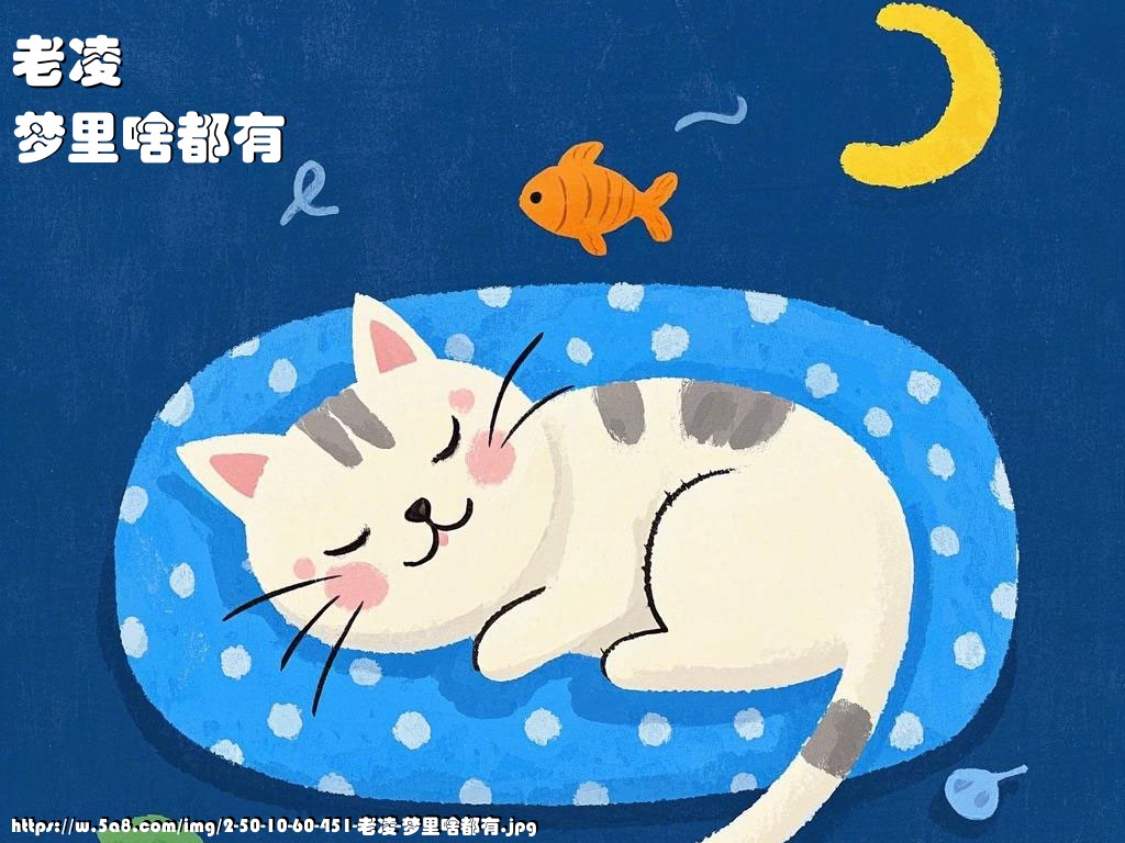 老凌梦里啥都有搞笑图片