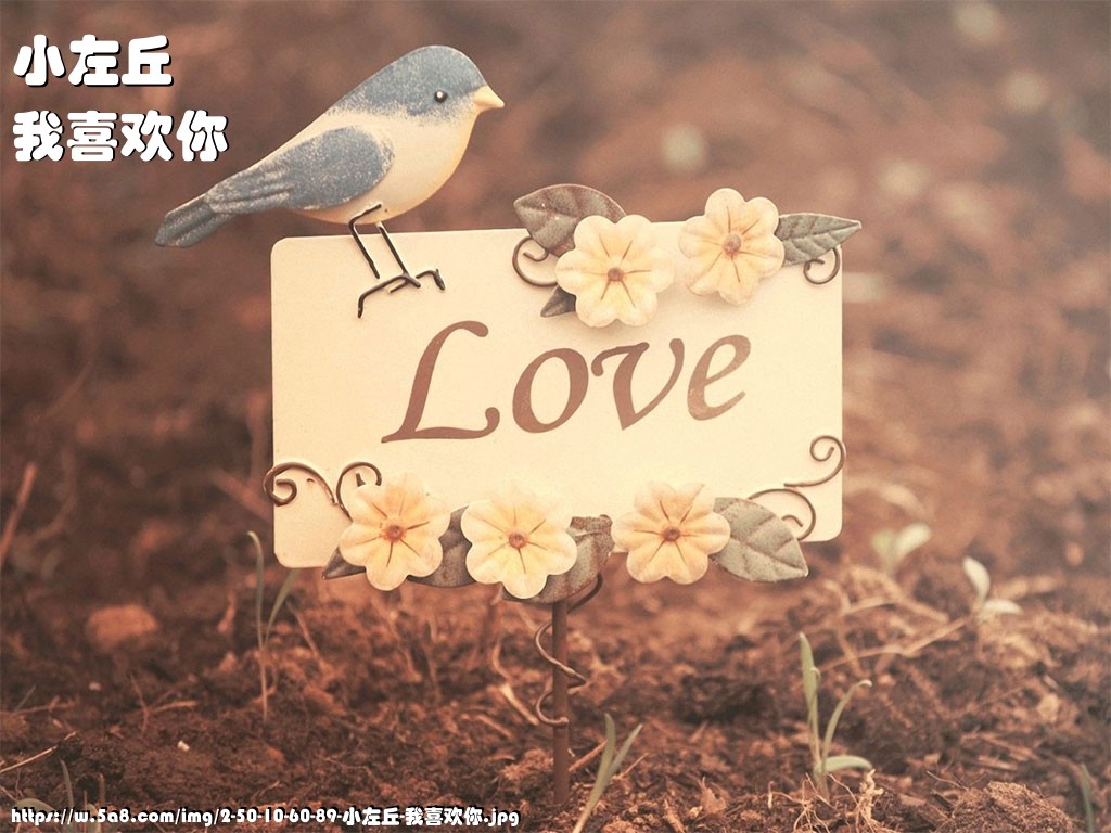 小左丘我喜欢你搞笑图片