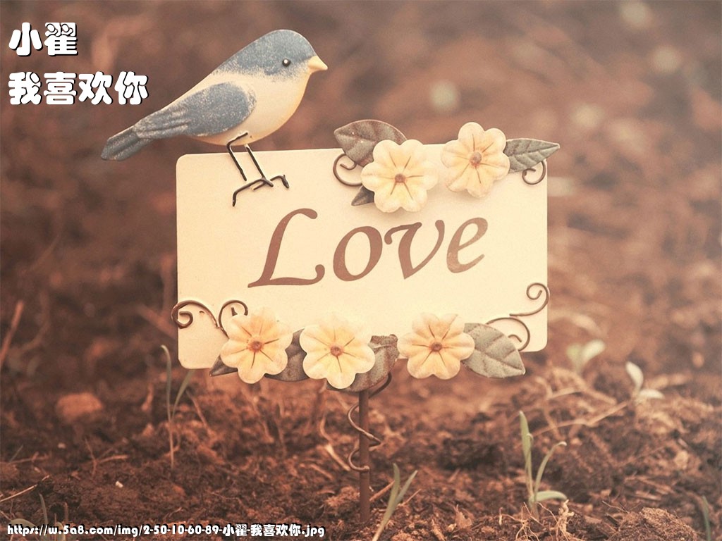 小翟我喜欢你搞笑图片
