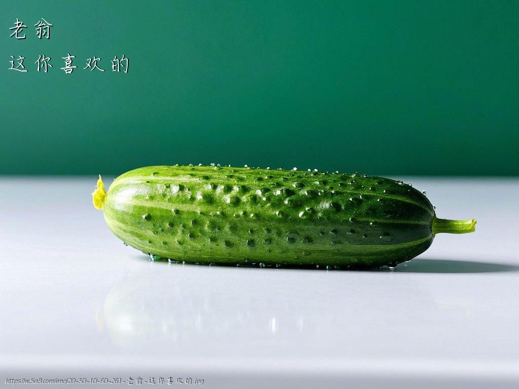 老翁这你喜欢的搞笑图片