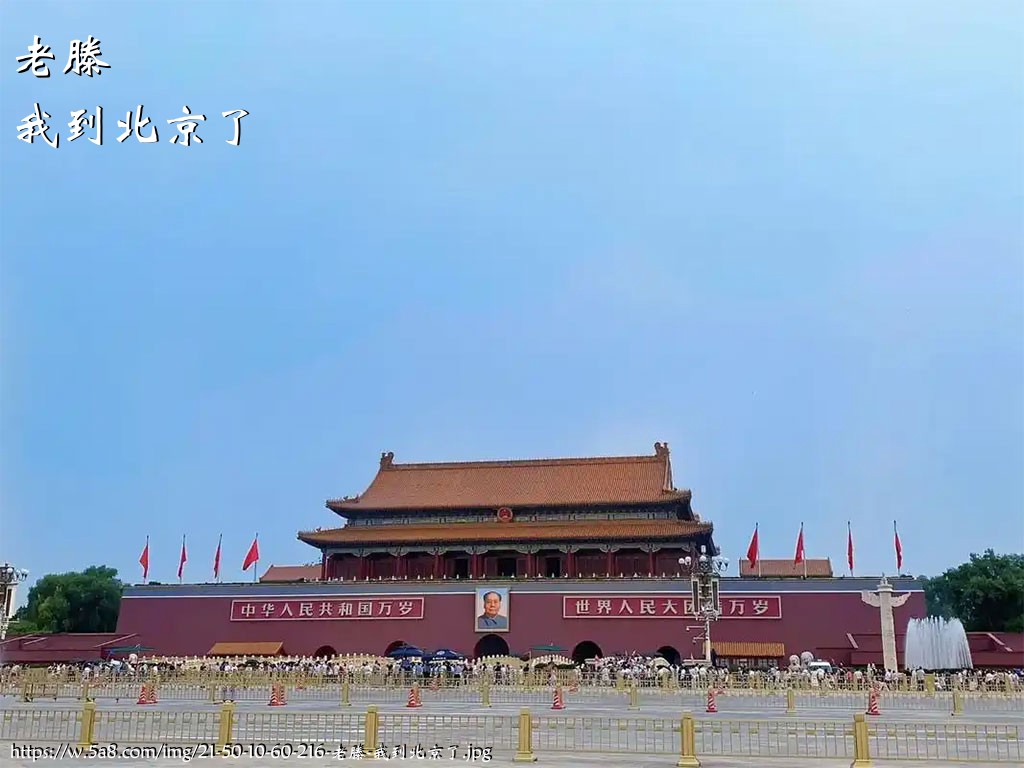 老滕我到北京了搞笑图片