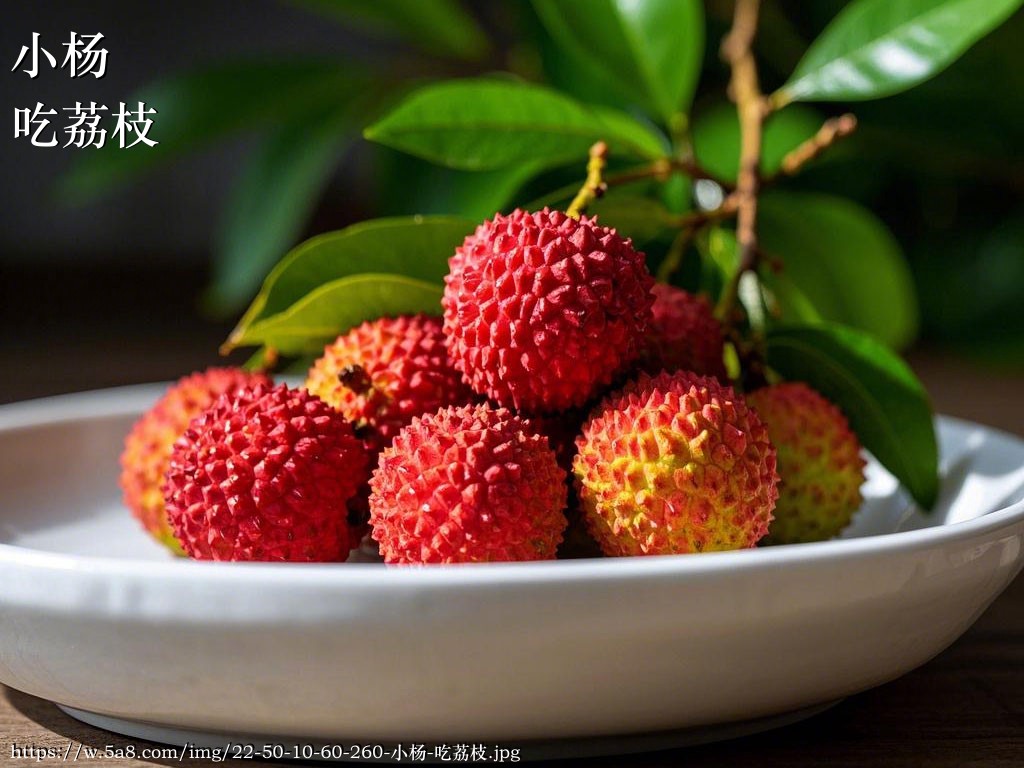 小杨吃荔枝搞笑图片