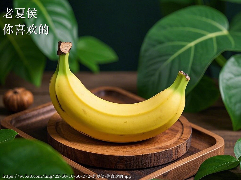 老夏侯你喜欢的搞笑图片