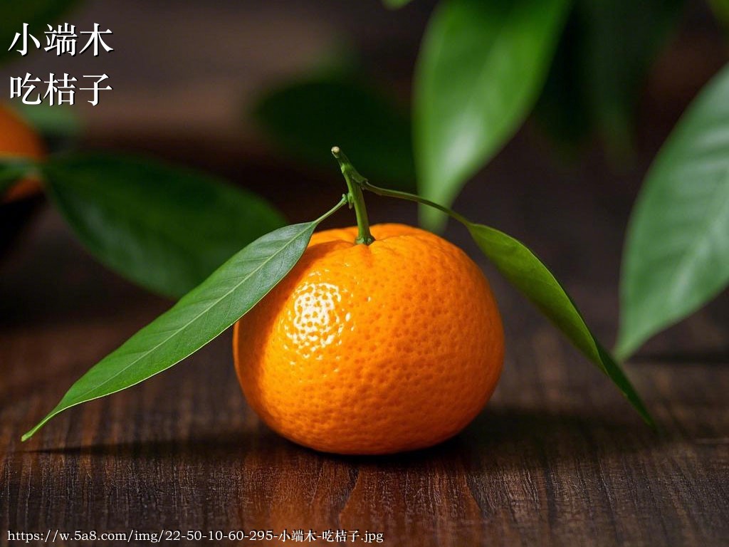 小端木吃桔子搞笑图片