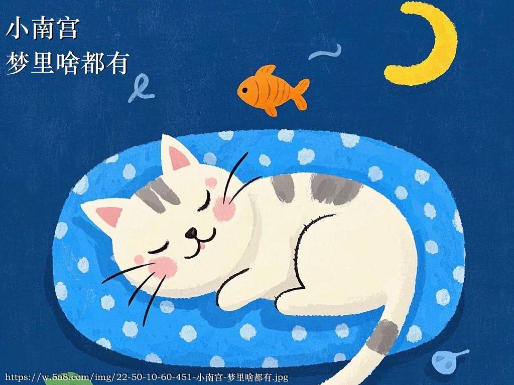 小南宫梦里啥都有搞笑图片