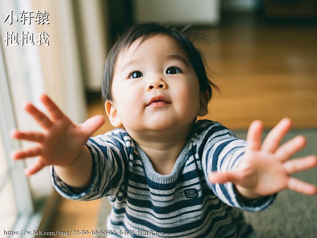小轩辕抱抱我搞笑图片