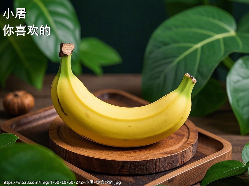 小屠你喜欢的搞笑图片