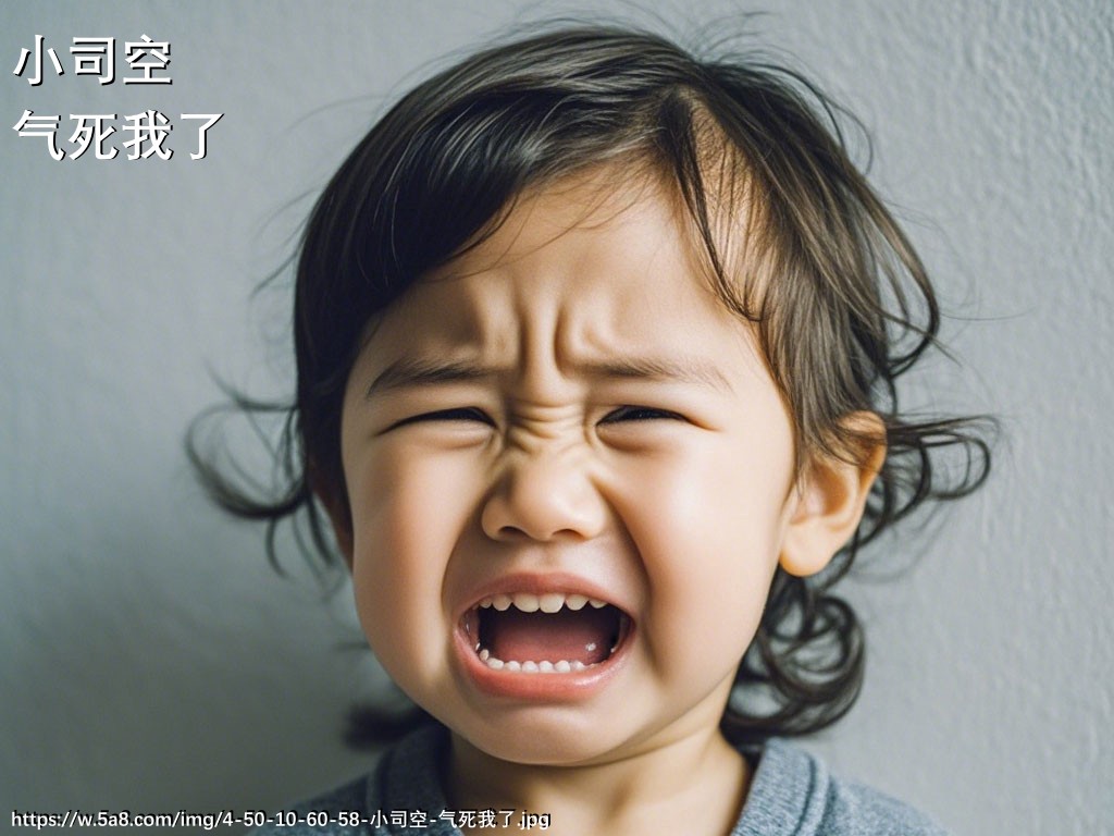 小司空气死我了搞笑图片