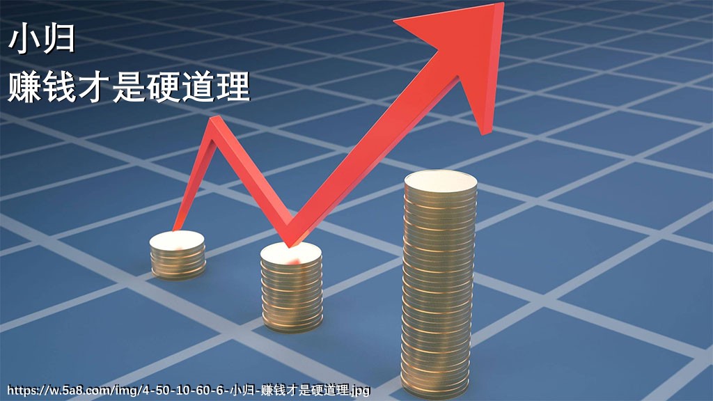 小归赚钱才是硬道理搞笑图片