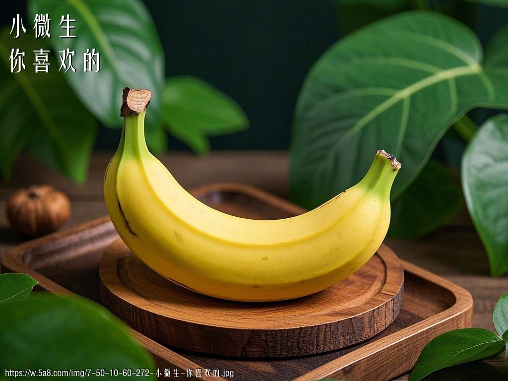 小微生你喜欢的搞笑图片
