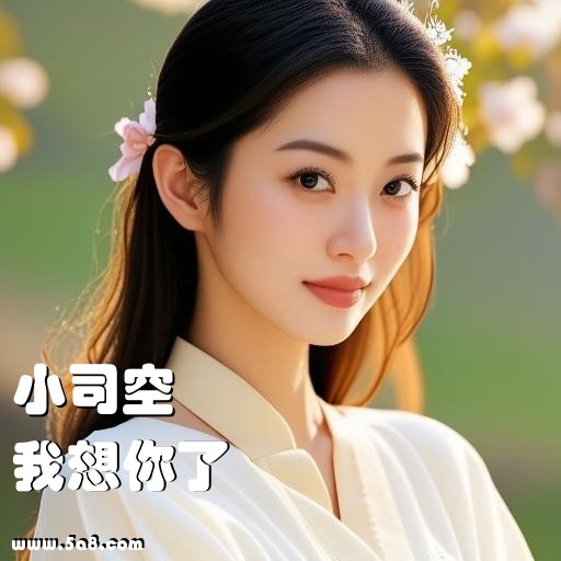 我想你了小司空搞笑图片