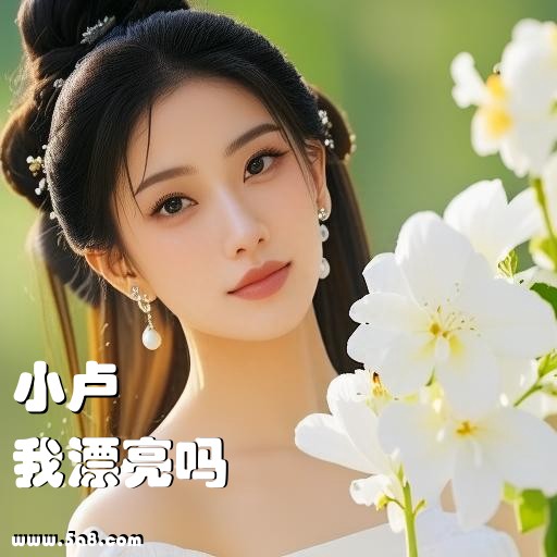 我漂亮吗小卢搞笑图片