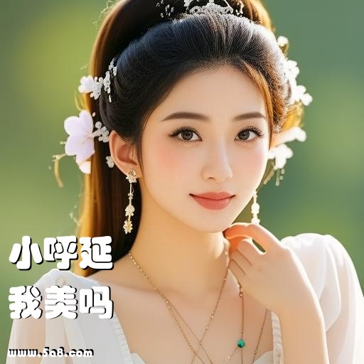 我美吗小呼延搞笑图片