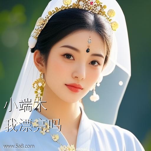 我漂亮吗小端木搞笑图片